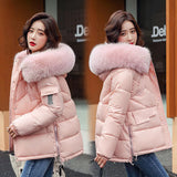 Women Winter Hooded Thick Short Jacket Solid Casual Glossy Warm Cotton Padded Parkas Fur Collar Winter Coat