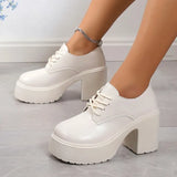 heels Mary Jane Shoes 2024 Spring Women Lace Up Single Pumps Women Fashion British Style Thick Sole Heel