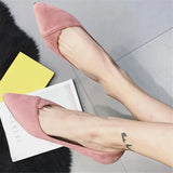 Bird Spring New Korean Version Fine Heel Suede Tip Low Heel Single Shoes Women Small Heel Large Size Black Work Shoes