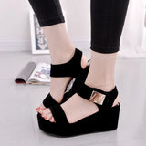 Summer New Korean Fashion Women's Sandals, Muffins, Thick Soles, High Heels, Fish Mouth, Roman Fashion