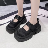 Casual Thick Heels Increase Simple French Shallow Mouth Women 2024 New Spring Black Retro Mary Jane
