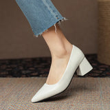 Breakj Temperament Light-Mouthed High-Heeled Shoes Korean Version Of Coarse Heel Single Shoes Four Seasons Professional Fashion Women's Shoes Size