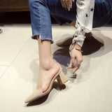 Breakj Spring And Summer Net Red Transparent Pointed Thick Heel High Heels Women In The Head Half Slippers Lazy