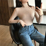 Women high neck Sweater Pullovers Turtleneck Autumn Winter Basic Women Sweaters Slim Fit