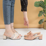 Coarse-Heeled Beautiful Sandals Women Wear 2025 Summer New Fairy Style Summer High-End