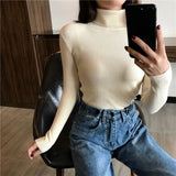 Women high neck Sweater Pullovers Turtleneck Autumn Winter Basic Women Sweaters Slim Fit