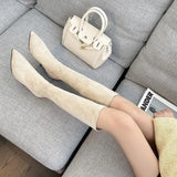 Knee Boots Female Wear Autumn And Winter New Small Fashion Casual Thin Velvet Pointed Knight