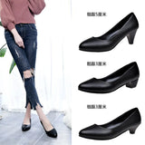 Breakj New White-Collar Low-Heeled Work Shoes Fashion Leather Coarse OL Single Shoes Vietnamese Side Trade Dress Women's