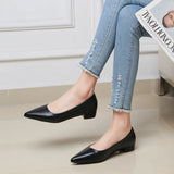 Breakj Pointed Light-Mouthed Square Heel Small Leather Shoes Women Business And Leisure Elegant Commute Single Shoes Fashion High Heels Women Four
