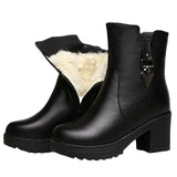 Boots Women 2024 New Thick Plush Ankle Snow Boots Women High Heels Botas Mujer Invierno Outdoor Women Casual Warm