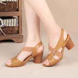 Breakj Summer New Fish Mouth Toe Fashion Roman High-Heeled Sandals Women Thicke Middle-A-Year-Old Mother