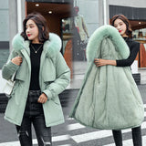 New Short Autumn Winter Coat Women Casual Fur Lining Women Parkas Hooded Winter Jacket Women Clothing Outwear