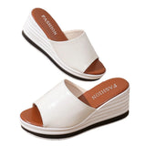 Breakj New Fashion Fish Mouth Slope And Fashion Casual Large-Size Women's Type Cold Slippers