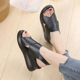 Thick-soled Fish Mouth Sandals Ladies 2022 New Black Openwork Casual Korean Breathable Joker Open Toe Sandals Womens