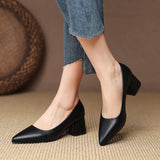 High-Heeled Women's 2023 New Women's Shoes Mary Jane Small Leather Shoes Thick Heel Women's Shoes French Professional Single