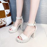 Summer Sandal Shoes for Women 2021 New Arrival Sexy Peep Toe Thick Heels Sandals Platform Casual Russian Shoes