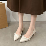 Breakj Light Mouth Apricot High Heels Women 2025 New Spring And Autumn Korean Version Of The Commuting Pointy Thick Heel Single