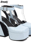 Dropship 2023 Summer Platform High Heeled Women's Shoes Sandals Office Lady Walking Comfy Woman Shoes Big Size