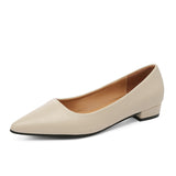 Pointed, Shallow Mouth, Square Heels, Women's Business, Leisure, Elegant Commuter Shoes, Fashionable High Heels, Four