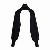 Turtleneck Long Sleeve Knitting Sweater Casual Femme Chic Design Pullover High Street Lady Tops