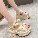 Breakj Platform Heel Sandals Female Summer 2023 New Korean Fashion Open Toe A Word Button Wear Beach Sandals