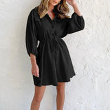 Lady Fashion Lapel Single Breasted Shirt Dress Women Spring Autumn Hot Deals Dress Elegant Drawstring Lace-up Pleated Mini