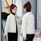 Parkas Jackets Winter Lady Casual Short Coats M~3XL Basic Woman Jackets Long Sleeve Female Chaquetas Womens Outwear