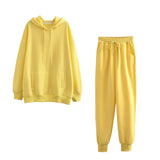 2020 New Autumn Winter Women Thick Fleece 100% Cotton Suit 2 Pieces Sets Hoodies Sweatshirt and Pants