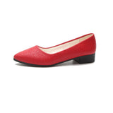 Seasons New Pointed Flat-Bottomed Lazy Shoes Solid Color Leisure Comfortable Soft-Soled
