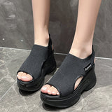 Breakj Women Casual Popular Spring And Summer New Fashion Casual Thick Profile Heel Fly Woven Large Size Sandals