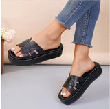Breakj Thick-Bottomed Cool Slippers Women's New Summer 2025 Fashion Fish Mouth Comfortable Beach