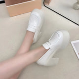 Breakj Coarse Black High-Heeled Women's Autumn 2025 New Student Thick-Soled Leveal Shoes JK Small Leather