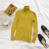 Women high neck Sweater Pullovers Turtleneck Autumn Winter Basic Women Sweaters Slim Fit