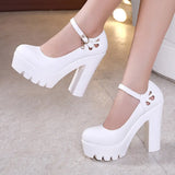 Model Cheongsam T Taiwan Waterproof Platform High Heels Thick Heels Large-Size Professional Work Shoes Show Single Shoe