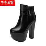 Tiangao 15Cm Catwalk Martin Boots Autumn And Winter Velvet Thickened Waterproof Table Thick Heels High Heels Medium-Sized Short