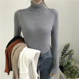 Women high neck Sweater Pullovers Turtleneck Autumn Winter Basic Women Sweaters Slim Fit