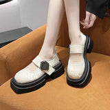 Casual Thick Heels Increase Simple French Shallow Mouth Women 2024 New Spring Black Retro Mary Jane