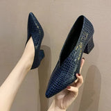 Shoes Women 2023 All-match Retro Women's Thick Heel Spring and Autumn New Pointed V Mouth Comfortable High