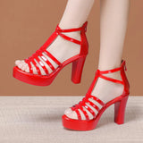 Thick-Heeled Roman Open-Toed Sandals Women's 2023 Summer New Thick-Soled Waterproof Platform With Large Size Fish Mouth