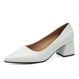 Breakj Temperament Light-Mouthed High-Heeled Shoes Korean Version Of Coarse Heel Single Shoes Four Seasons Professional Fashion Women's Shoes Size