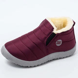 Warm Shoes Casual Snow Platform Boots Cotton Fabric Waterproof Non-Slip Fur Women Boots Winter Female Shoes Botas