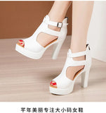 Open Head Thick Bottom 10cm Block Heel Platform Shoes Summer 2022 Small Plus Size 32-43 High Heels Gladiator Sandals