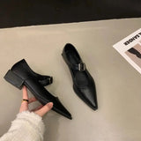 Spring Mary Jane Shoes Pumps Women Low Heels Elegant Leather Pointed Toe Footwear Party Office Lady