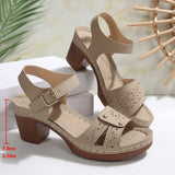 Breakj Retro Casual Roman Style Round-Headed Women's Shoes New Hollow Breathable Flat Buckle