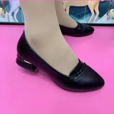 Soft Leather Single Shoes Female 2023 Spring And Autumn New Anti-Skid Soft Sole Comfortable Thick Heel Fashion Pointed One Foot Pedal Mother