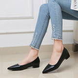 Pointed, Shallow Mouth, Square Heels, Women's Business, Leisure, Elegant Commuter Shoes, Fashionable High Heels, Four
