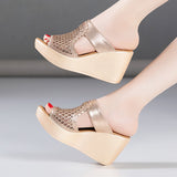 Women's Fashionable Slippers With Slope Heels Wear 2023 New Muffin Thick-Soled Waterproof Table Large Size 43 Mesh Fishmouth