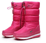 Women Snow Boots Platform Winter Boots Thick Plush Waterproof Non-slip Boots Fashion Women Winter Shoes Warm Fur Botas