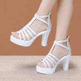 Thick-Heeled Roman Open-Toed Sandals Women's 2023 Summer New Thick-Soled Waterproof Platform With Large Size Fish Mouth