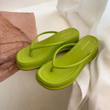 Breakj Summer New Women's Shoes Korean Version Of Flip-Flops Wear Wedge Sandals Women's Shoes